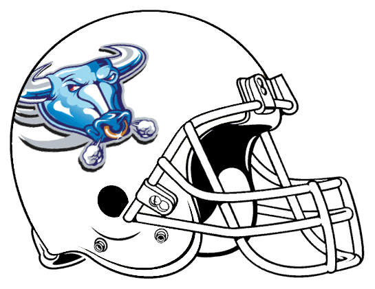 Buffalo Bulls 1997 Helmet Logo t shirts DIY iron ons